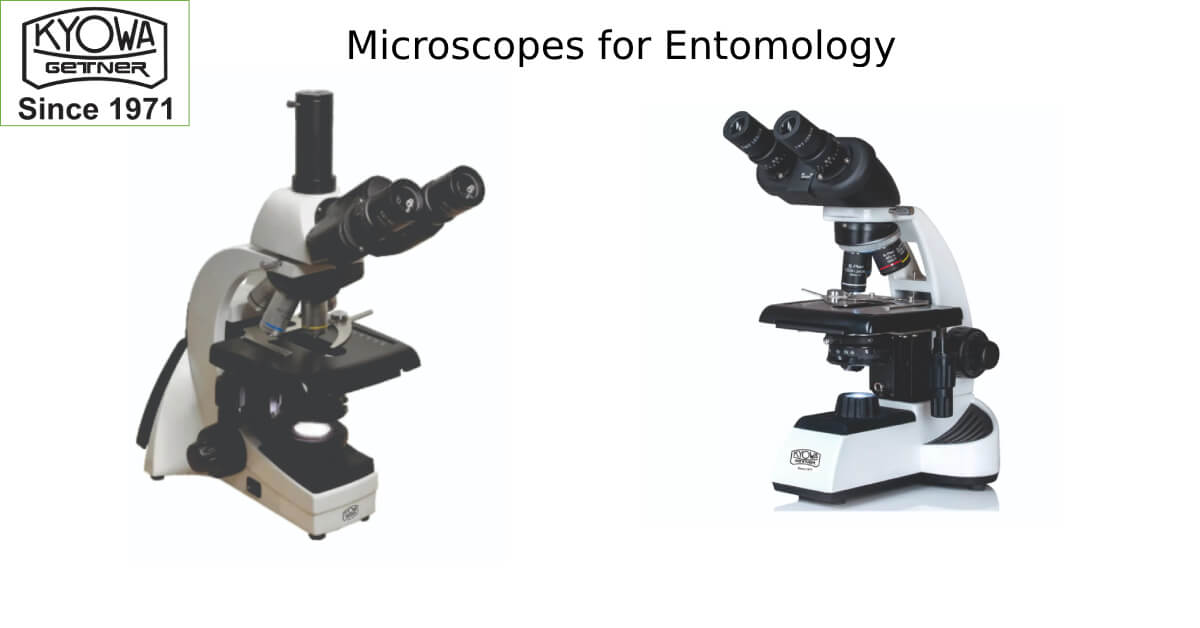 microscopes for entomology