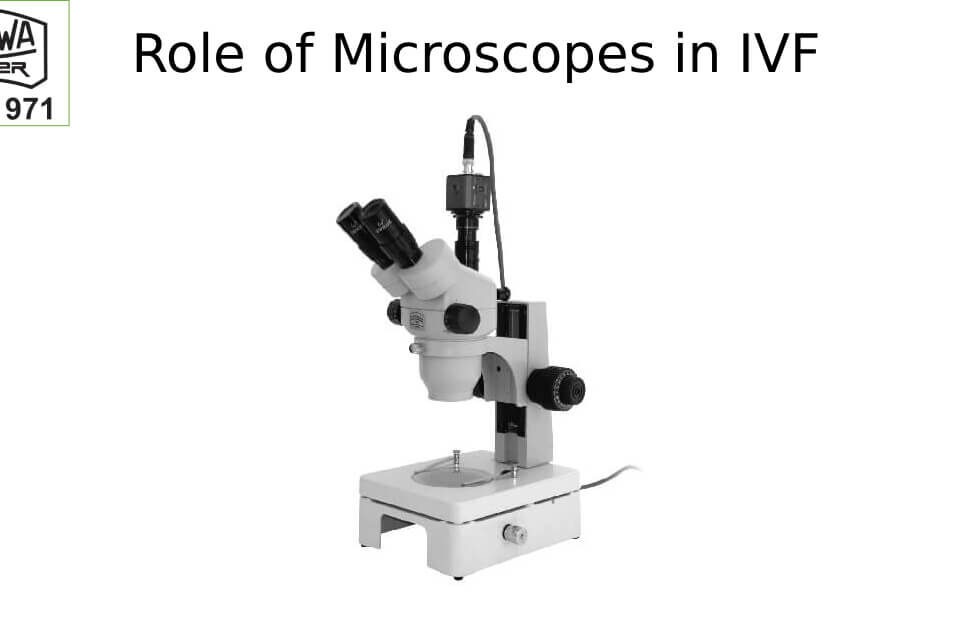 role of microscopes in ivf