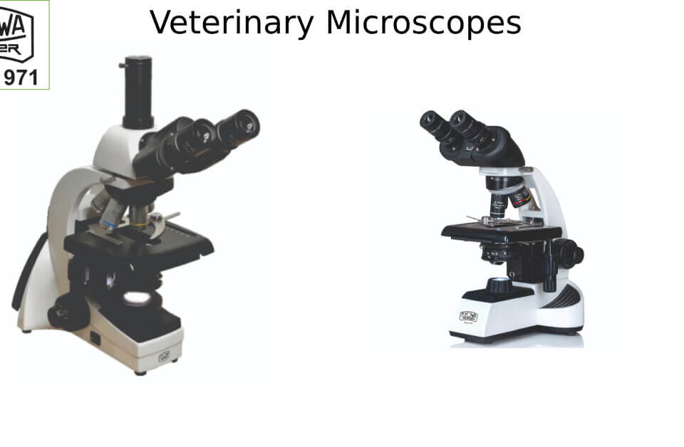 veterinary microscopes